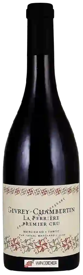 Weingut Pascal Marchand-Tawse - Gevrey-Chambertin 1er Cru 'La Perrière' Weingut Pascal Marchand-Tawse - Gevrey-Chambertin 1er Cru 'La Perrière'