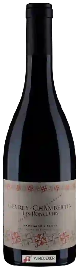 Weingut Pascal Marchand-Tawse - Gevrey-Chambertin 'Les Roncevies' Weingut Pascal Marchand-Tawse - Gevrey-Chambertin 'Les Roncevies'