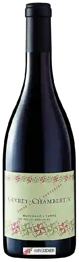 Weingut Pascal Marchand-Tawse - Gevrey-Chambertin Weingut Pascal Marchand-Tawse - Gevrey-Chambertin