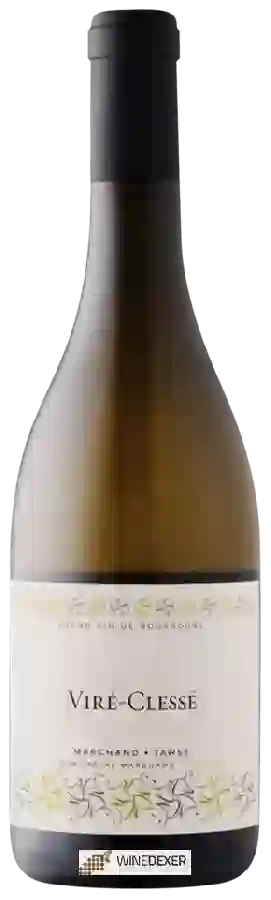 Weingut Pascal Marchand-Tawse - Viré-Clessé