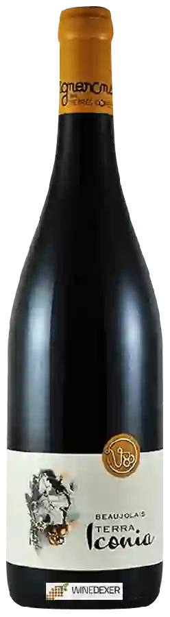Weingut Vignerons des Pierres Dorees - Terra Iconia Beaujolais Rouge