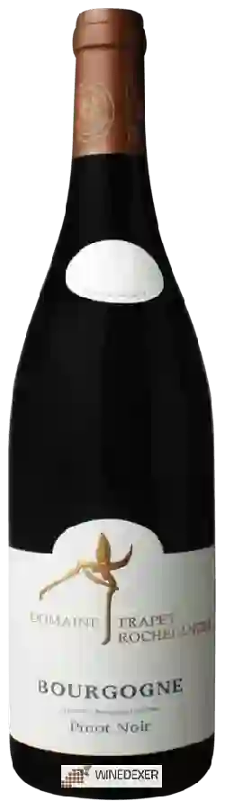 Weingut François Trapet - Bourgogne Pinot Noir Weingut François Trapet - Bourgogne Pinot Noir
