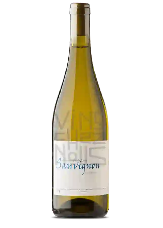 Weingut Frantz Saumon - Sauvignon - Chenin Weingut Frantz Saumon - Sauvignon - Chenin