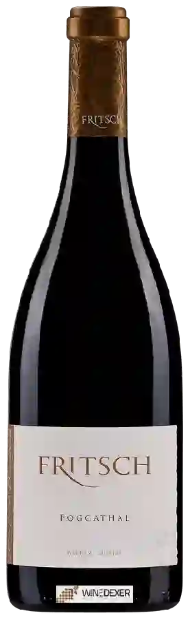 Weingut Fritsch - Foggathal