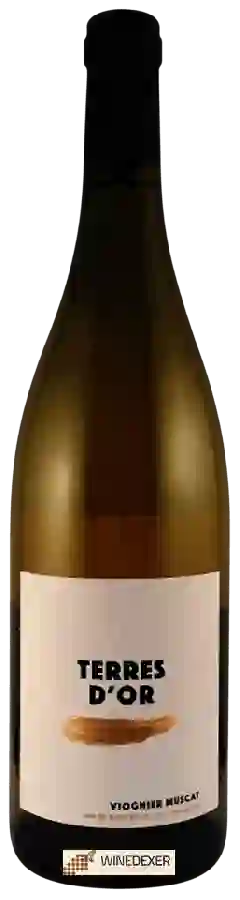 Cave des Vignerons de Frontignan - Terres d'Or Viognier - Muscat