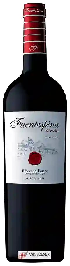 Bodegas Fuentespina - Selección