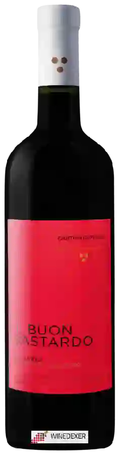 Weingut Gaffino - Il Buon Bastardo Weingut Gaffino - Il Buon Bastardo