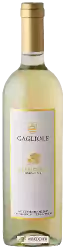 Weingut Gagliole - Biancolo