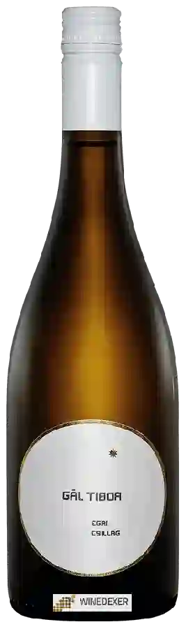 Weingut Gál Tibor - Egri Csillag