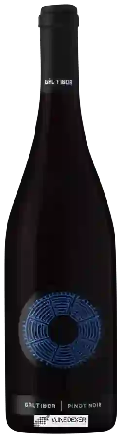 Weingut Gál Tibor - Pinot Noir