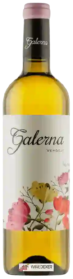 Weingut Galerna - Verdejo Weingut Galerna - Verdejo