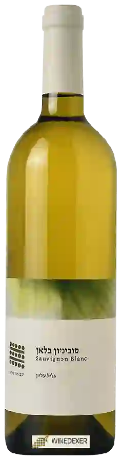 Galil Mountain Winery (יקב הרי גליל) - Sauvignon Blanc Galil Mountain Winery (יקב הרי גליל) - Sauvignon Blanc