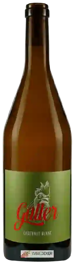 Weingut Galler - Carbernet Blanc Weingut Galler - Carbernet Blanc
