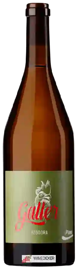 Weingut Galler - Feodora Weingut Galler - Feodora