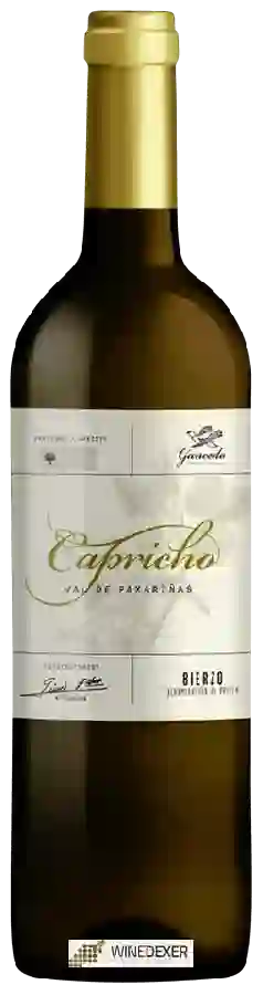 Weingut Gancedo - Capricho Val de Paxariñas Godello
