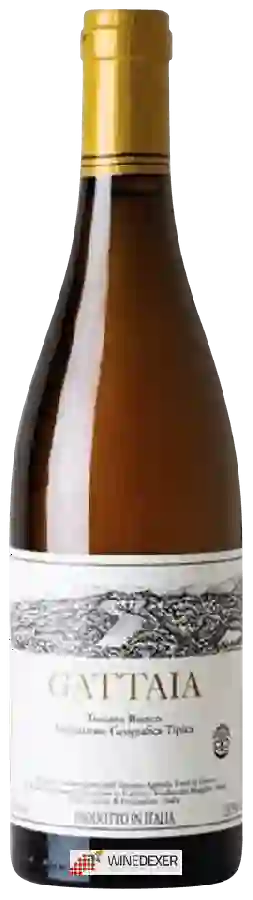 Weingut Terre di Giotto - Gattaia Toscana Bianco