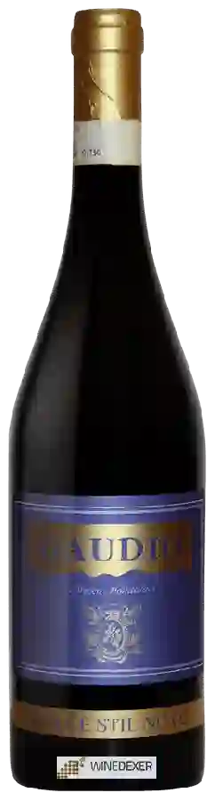 Weingut Gaudio - Bricco Mondalino - Dolce Stil Novo Weingut Gaudio - Bricco Mondalino - Dolce Stil Novo