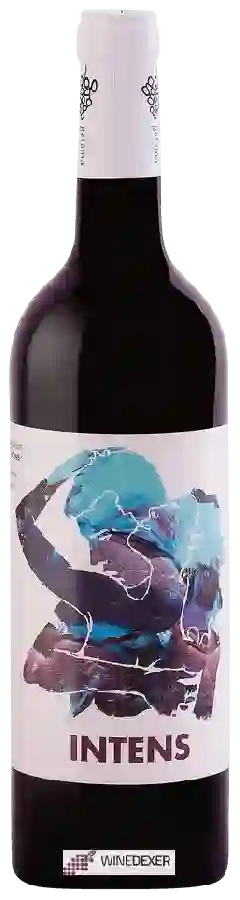 Weingut Gelamà - Intens