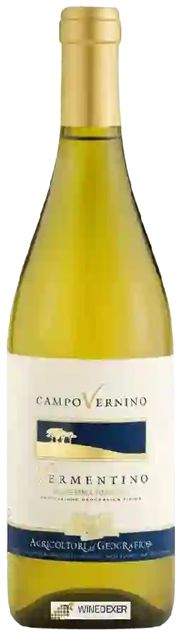 Weingut Geografico - Campo Vernino Vermentino Maremma Toscana
