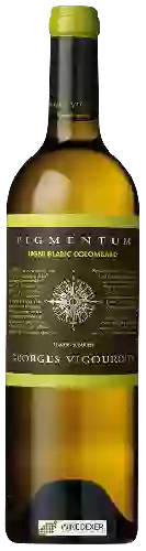 Weingut Georges Vigouroux - Pigmentum Ugni Blanc - Colombard
