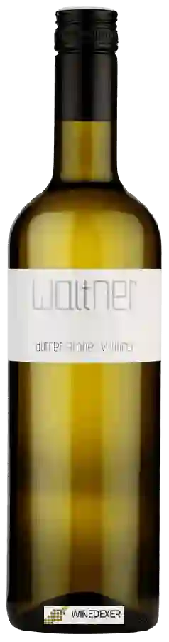 Weingut Gerald Waltner - Dorner Grüner Veltliner