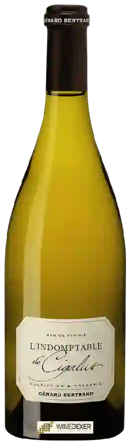 Weingut Gérard Bertrand - L'Indomptable De Cigalus White Weingut Gérard Bertrand - L'Indomptable De Cigalus White