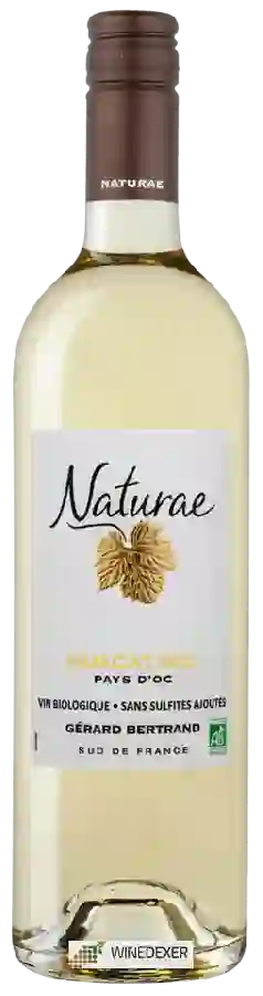 Weingut Gérard Bertrand - Naturae Muscat Sec Sans Sulfites Ajoutés Weingut Gérard Bertrand - Naturae Muscat Sec Sans Sulfites Ajoutés