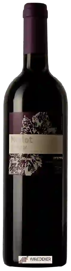 Weingut Gérald Besse - Les Serpentines Merlot Weingut Gérald Besse - Les Serpentines Merlot