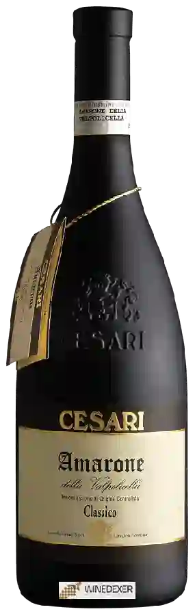 Weingut Cesari - Amarone della Valpolicella Classico Cavaion Veronese