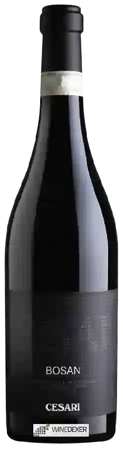 Weingut Cesari - Bosan Amarone della Valpolicella