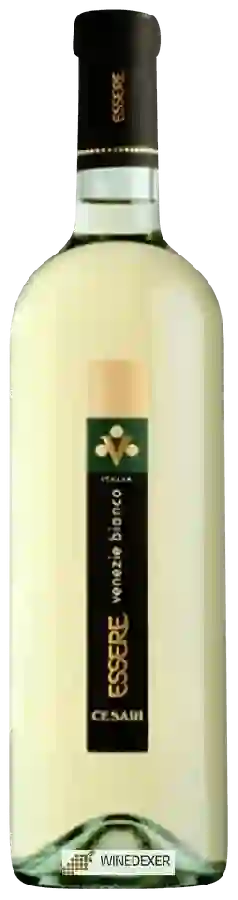 Weingut Cesari - Essere Venezie Bianco Weingut Cesari - Essere Venezie Bianco