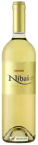 Weingut Cesari - Nibai Soave Classico