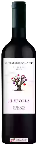 Weingut Germans Balart - Llepolia Vi Negre Bóta