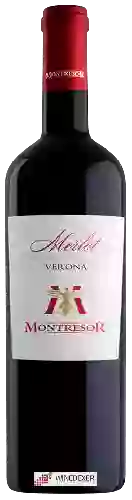 Weingut Montresor - Merlot Verona