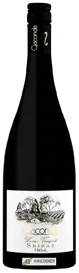 Weingut Giaconda - Warner Vineyard Shiraz Weingut Giaconda - Warner Vineyard Shiraz