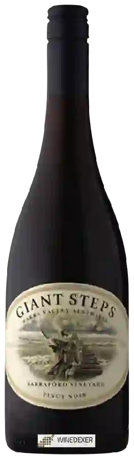 Weingut Giant Steps - Tarraford Vineyard Pinot Noir
