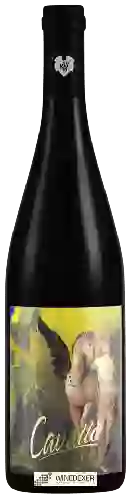 Weingut Giefing - Cavallo Pinot Noir Trocken