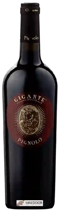 Weingut Gigante - Pignolo Weingut Gigante - Pignolo