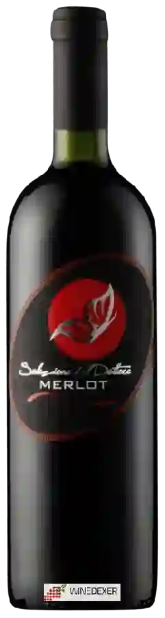 Weingut Gino Brisotto - Merlot delle Venezie (Selezione del Dottore) Weingut Gino Brisotto - Merlot delle Venezie (Selezione del Dottore)