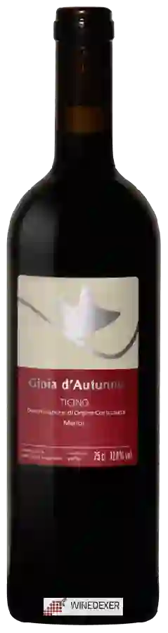 Weingut Theilervini - Gioia d'Autunno Merlot