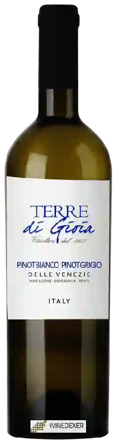 Weingut Terre di Gioia - Pinot Bianco - Pinot Grigio delle Venezie Weingut Terre di Gioia - Pinot Bianco - Pinot Grigio delle Venezie