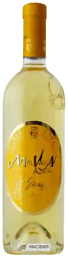 Weingut Giorgi - Malvasia Dolce Weingut Giorgi - Malvasia Dolce