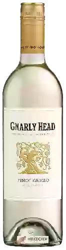 Weingut Gnarly Head - Pinot Grigio