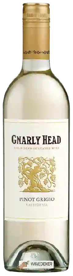 Weingut Gnarly Head - Pinot Grigio
