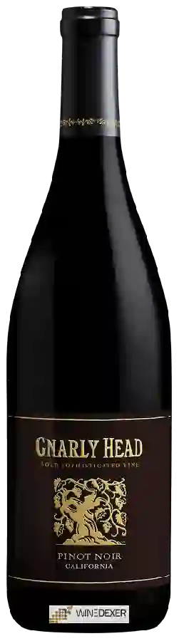 Weingut Gnarly Head - Pinot Noir Weingut Gnarly Head - Pinot Noir
