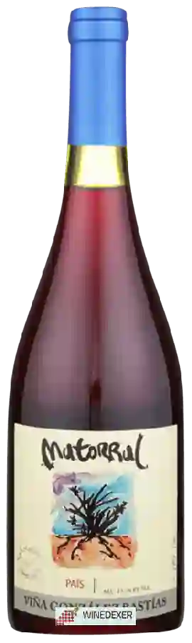 Weingut Viña González Bastías - Matorral País