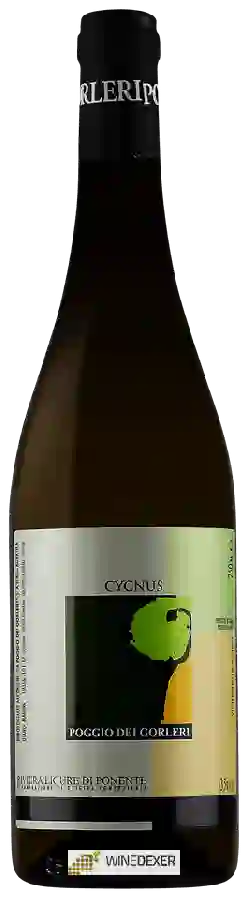 Weingut Gorleri - Cycnus Pigato Riviera Ligure di Ponente Weingut Gorleri - Cycnus Pigato Riviera Ligure di Ponente