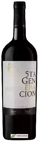 Weingut Goyenechea - 5TA Generacion Gran Reserva Cabernet Sauvignon