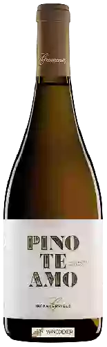 Weingut Gramona - Pinoteamo