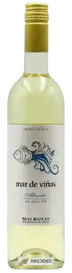 Weingut Adegas Gran Vinum - Mar de Viñas Albariño